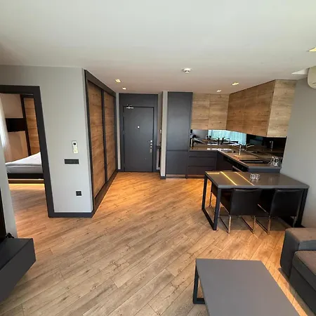 Z-suites *