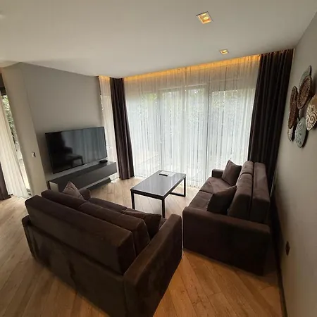 Z-suites *