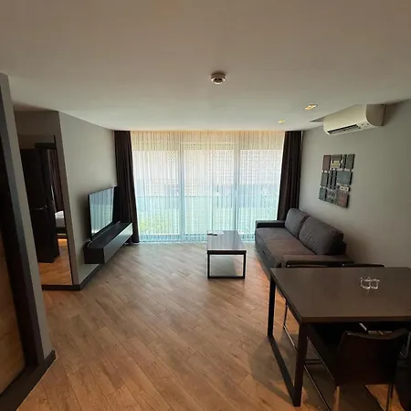 Z-suites *